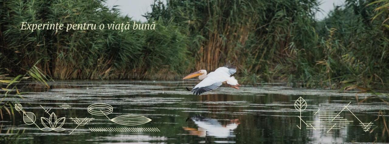 Pensiunea Nest Dunavăţu de Jos Exteriör bild