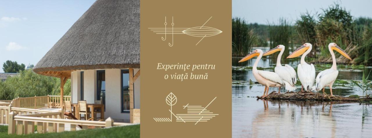 Pensiunea Nest Dunavăţu de Jos Exteriör bild
