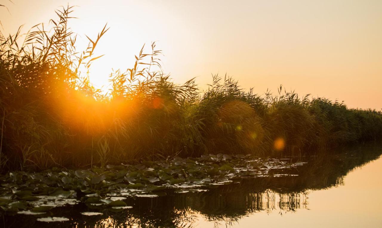 Pensiunea Nest Dunavăţu de Jos Exteriör bild